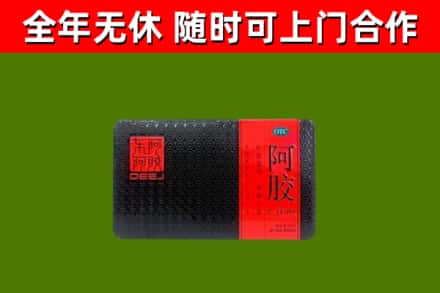 紫阳回收阿胶